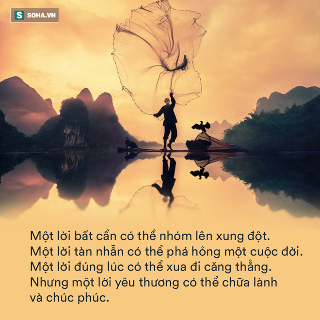 4db82224c32b17a1c117.png