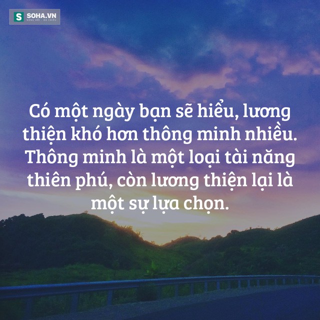 4ddd237ee231e1872d91.jpg