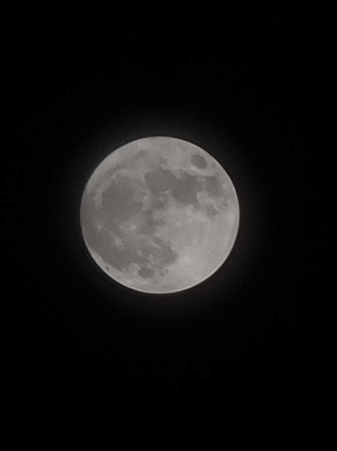 4de800d5bedcc7218ef3.jpg