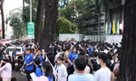 4e26513a982b4717e1ab.jpg