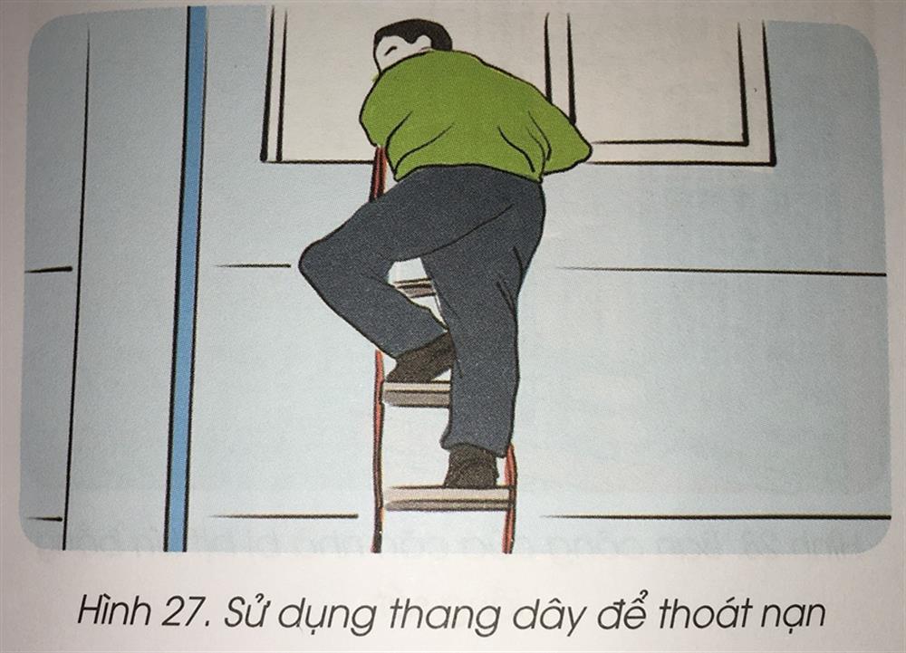 4e2bed1e9c36f5da089f.jpg