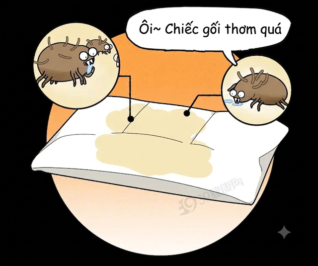 4e8b55a3c5307793edab.png