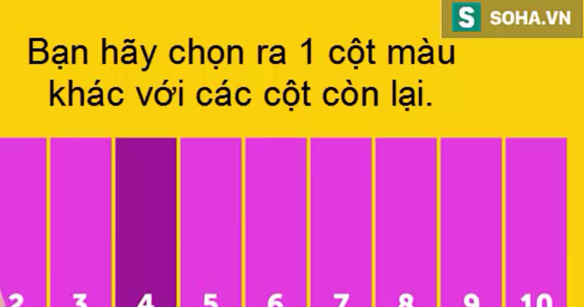 4ea50878b06daaee0e06.png