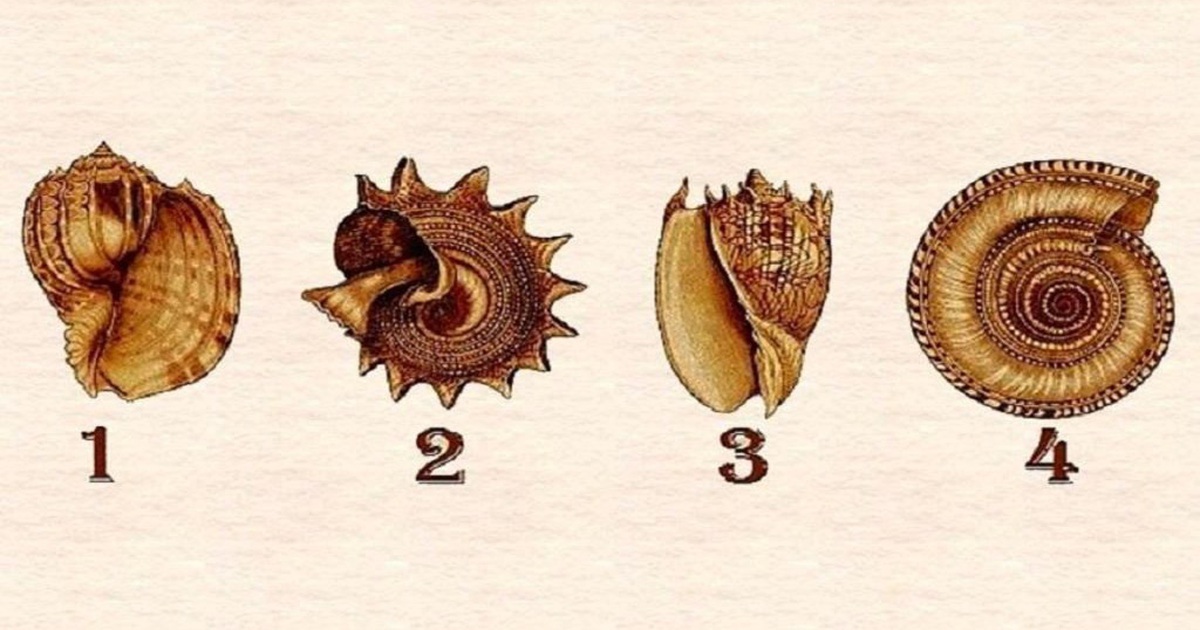 4eced314a4a658567cb7.jpg