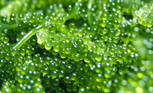 4f1348c1609d58a7f67a.jpg