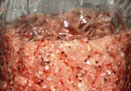 4fe7dec51251e1a145d6.jpg