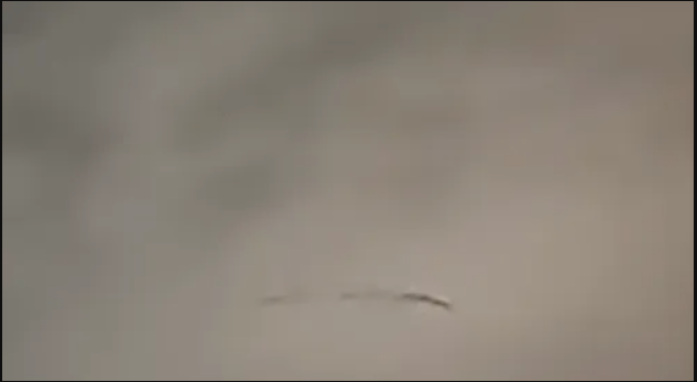 4ff7004987cb0211015e.png