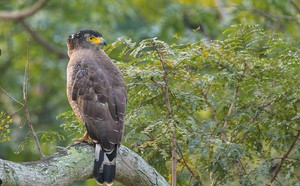 500253a53ac5ad5f12a5.jpg