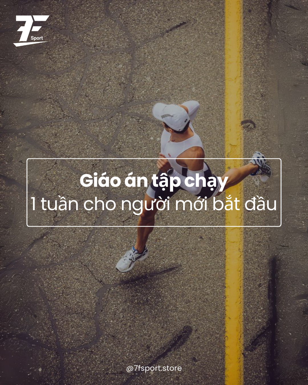 5007f7157fd6f0891647.png