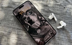 500cb31752eea4d58a38.jpg