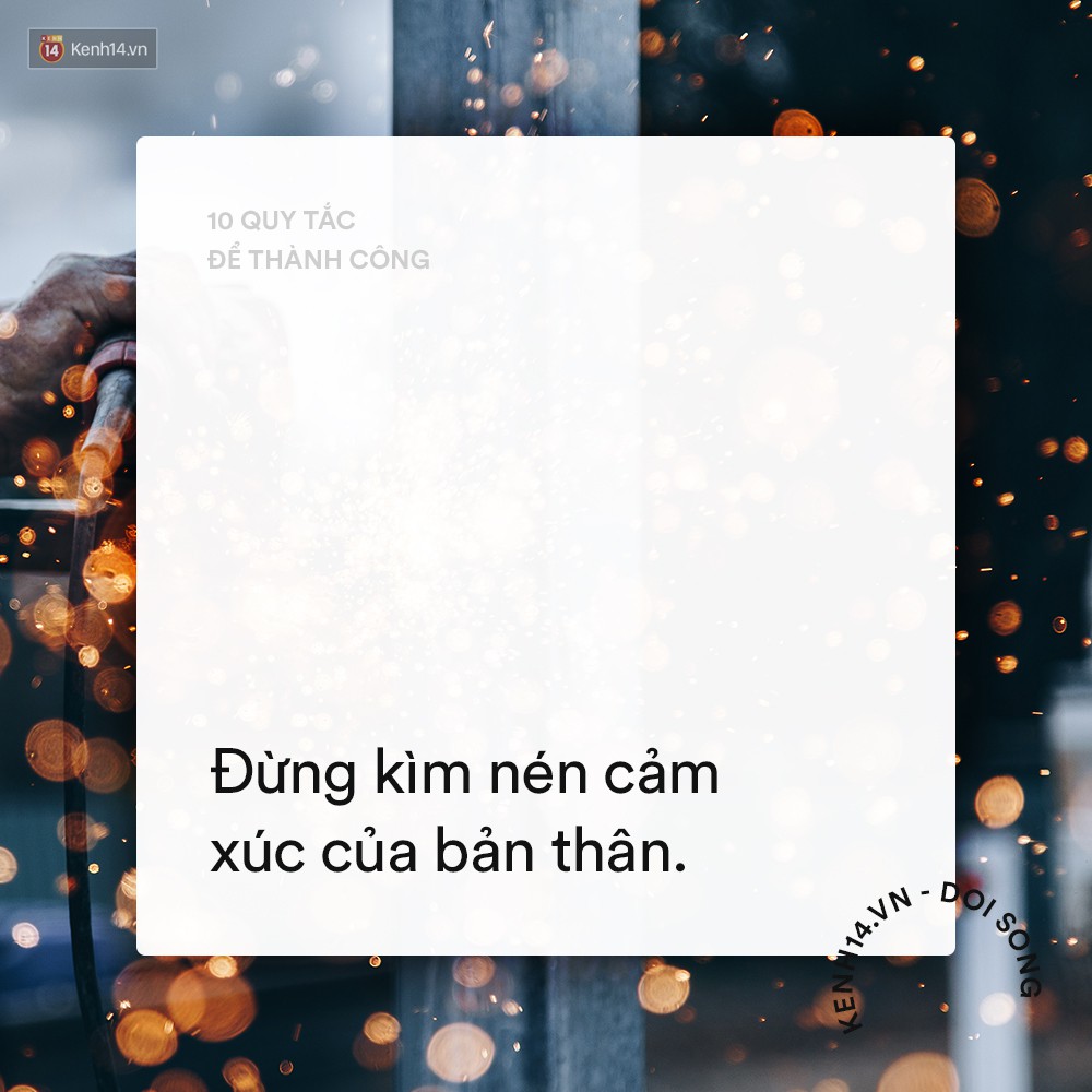505397c0548b37d873e5.jpg