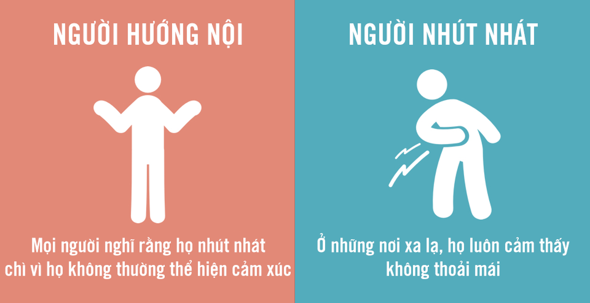 506fb3c5d0e4c7108f6a.png