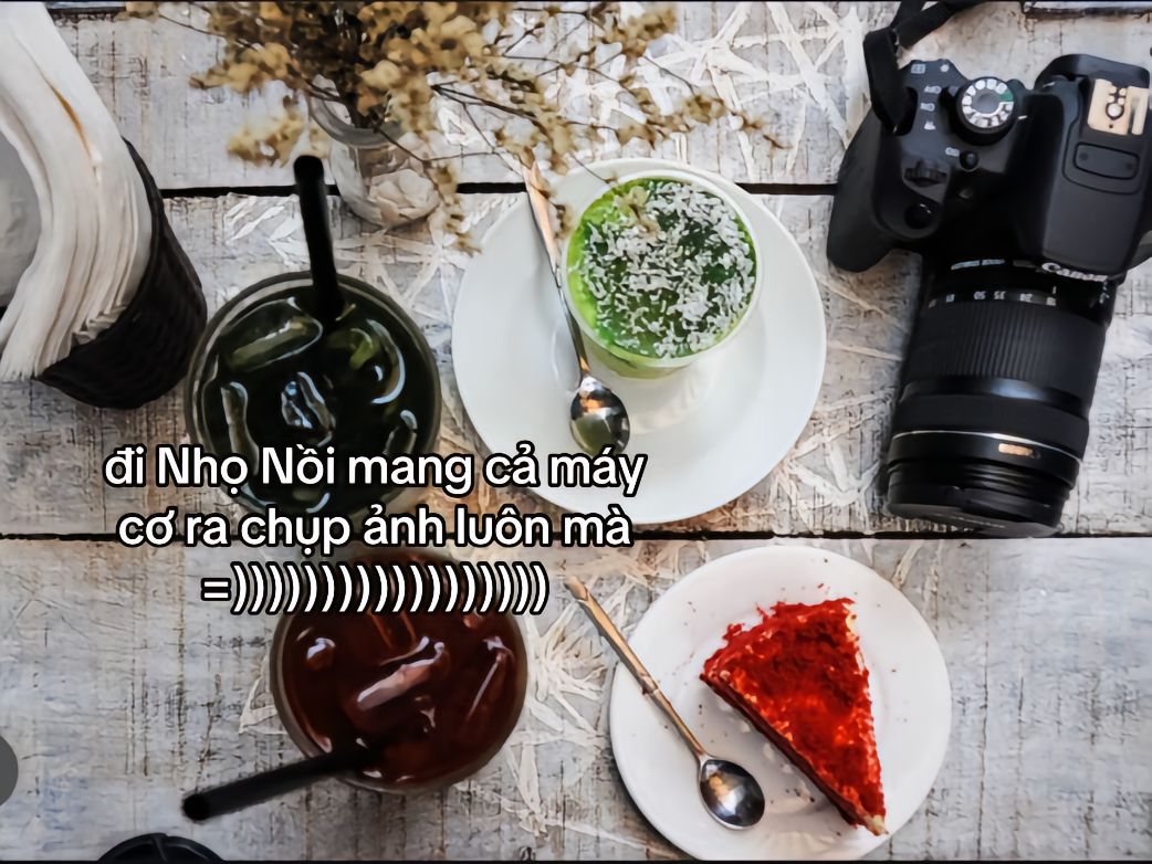 5072c68151de4c1a1e38.jpg