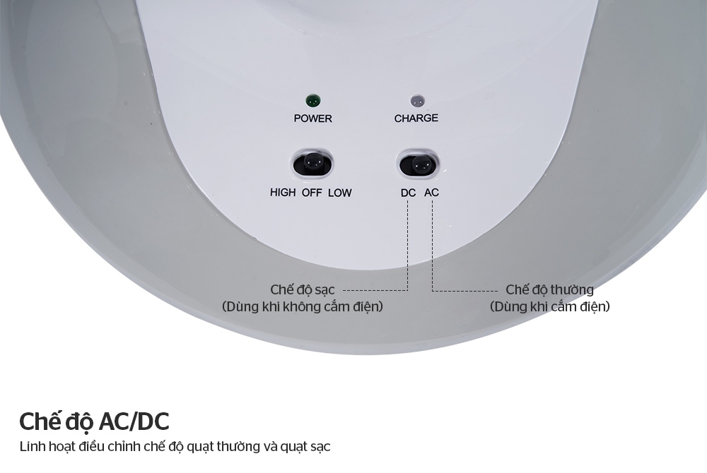 50878bdc79e16479b960.jpg
