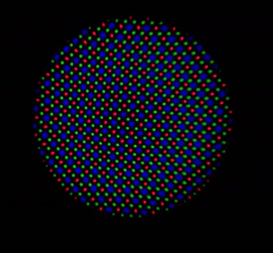 50991cc582d156a4a5e1.jpg
