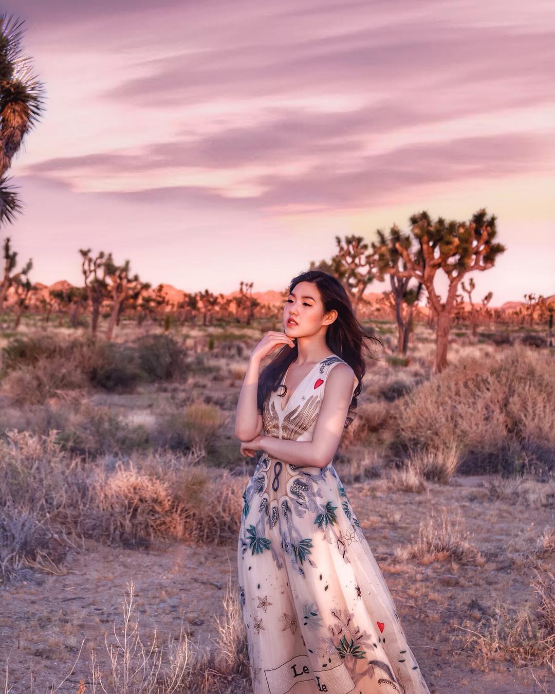 50a855fe6ed407c3cf04.jpg