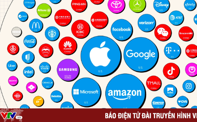 50bb6667c83717e73a23.png