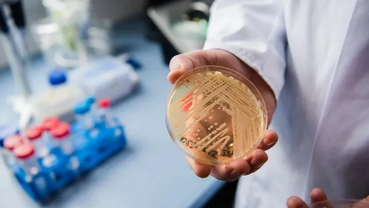 'Siêu nấm' kháng thuốc đang lan như virus, nguy hiểm cực mạnh