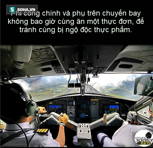 50ca2c73bd8ee3492fb3.png