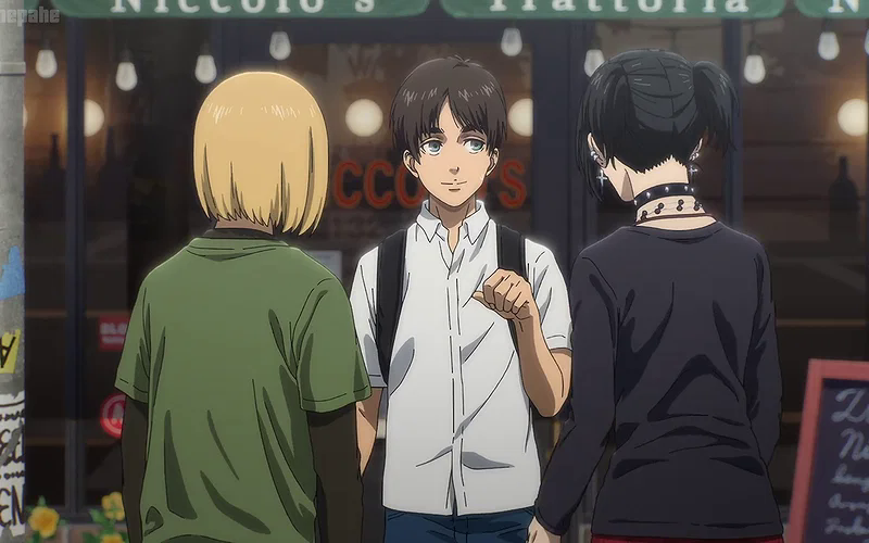50dfb874bbc8a63ca231.png