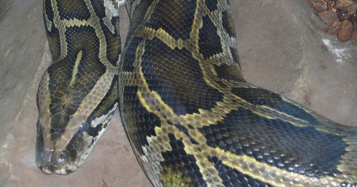 50e57043a36ecffb9886.jpg