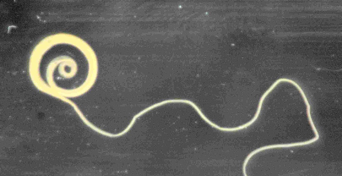 50f467600209105809e7.jpg