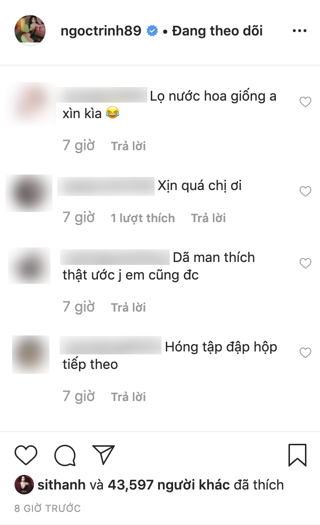 50fb1252c3335198be5d.png