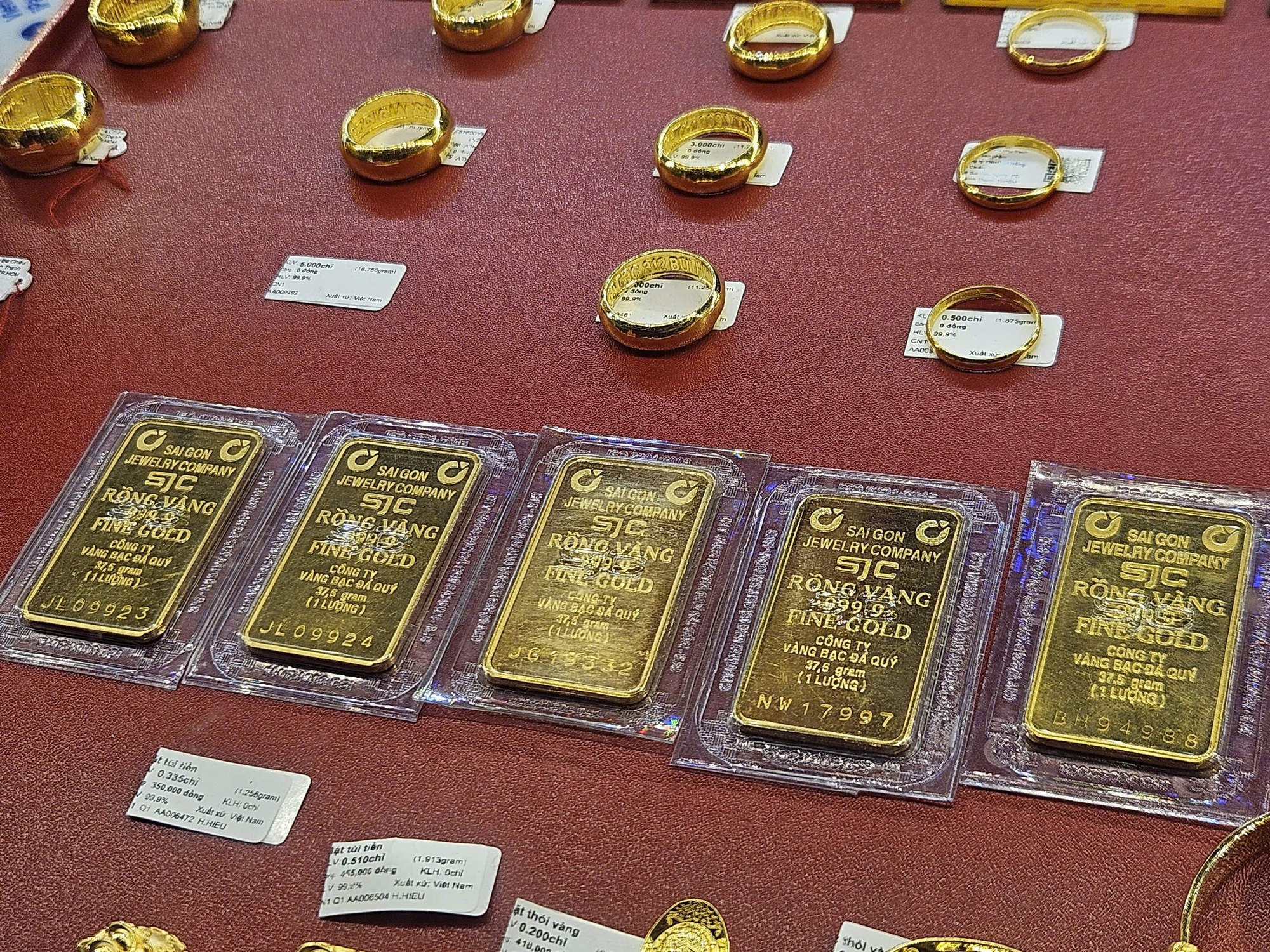 51037245c30081aedec2.jpg