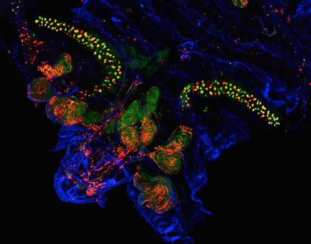 510453fe7e31b2720847.png