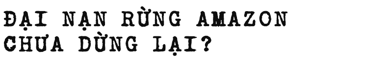 511938c0316276a3bd91.png