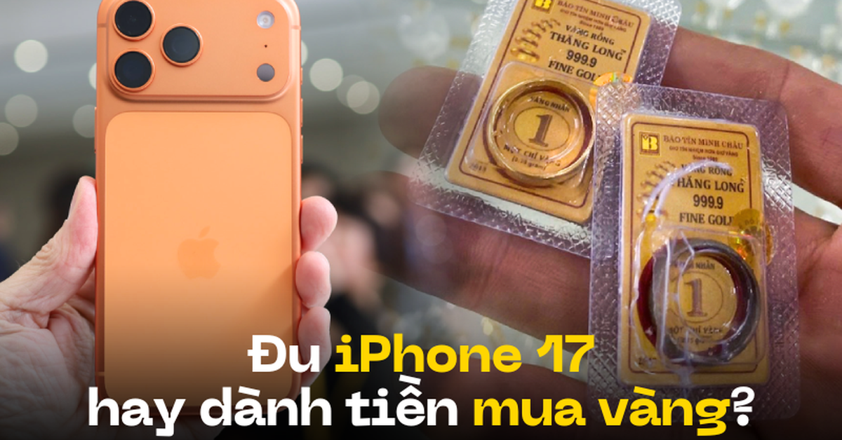 51374209d089bd23d8f8.png