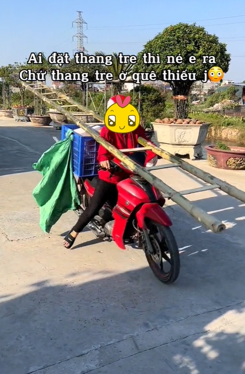 51407486153ac4eca2c5.jpg