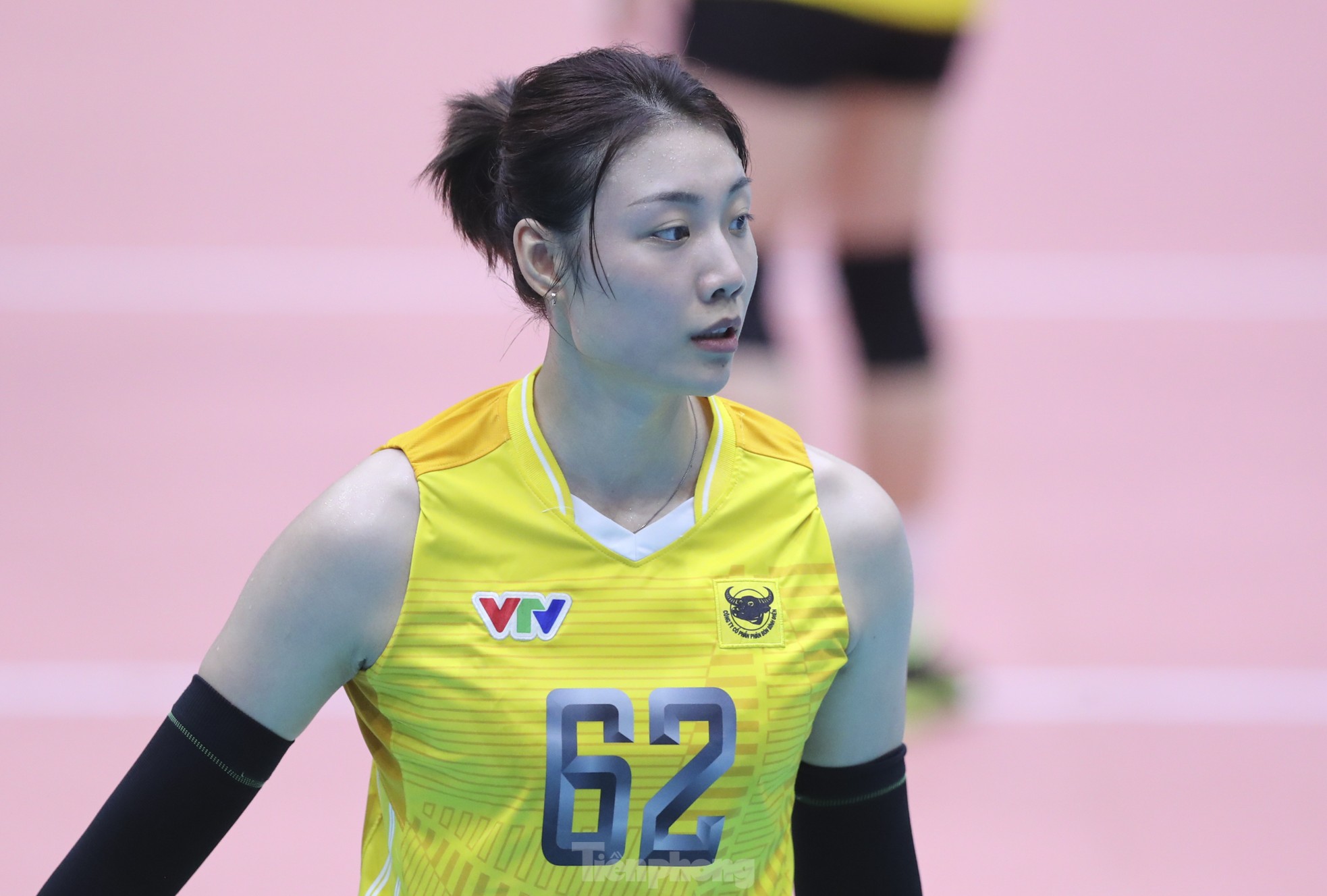 51527abd1284cec81445.jpg