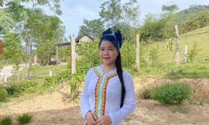 5152817c5c18ea478780.jpg