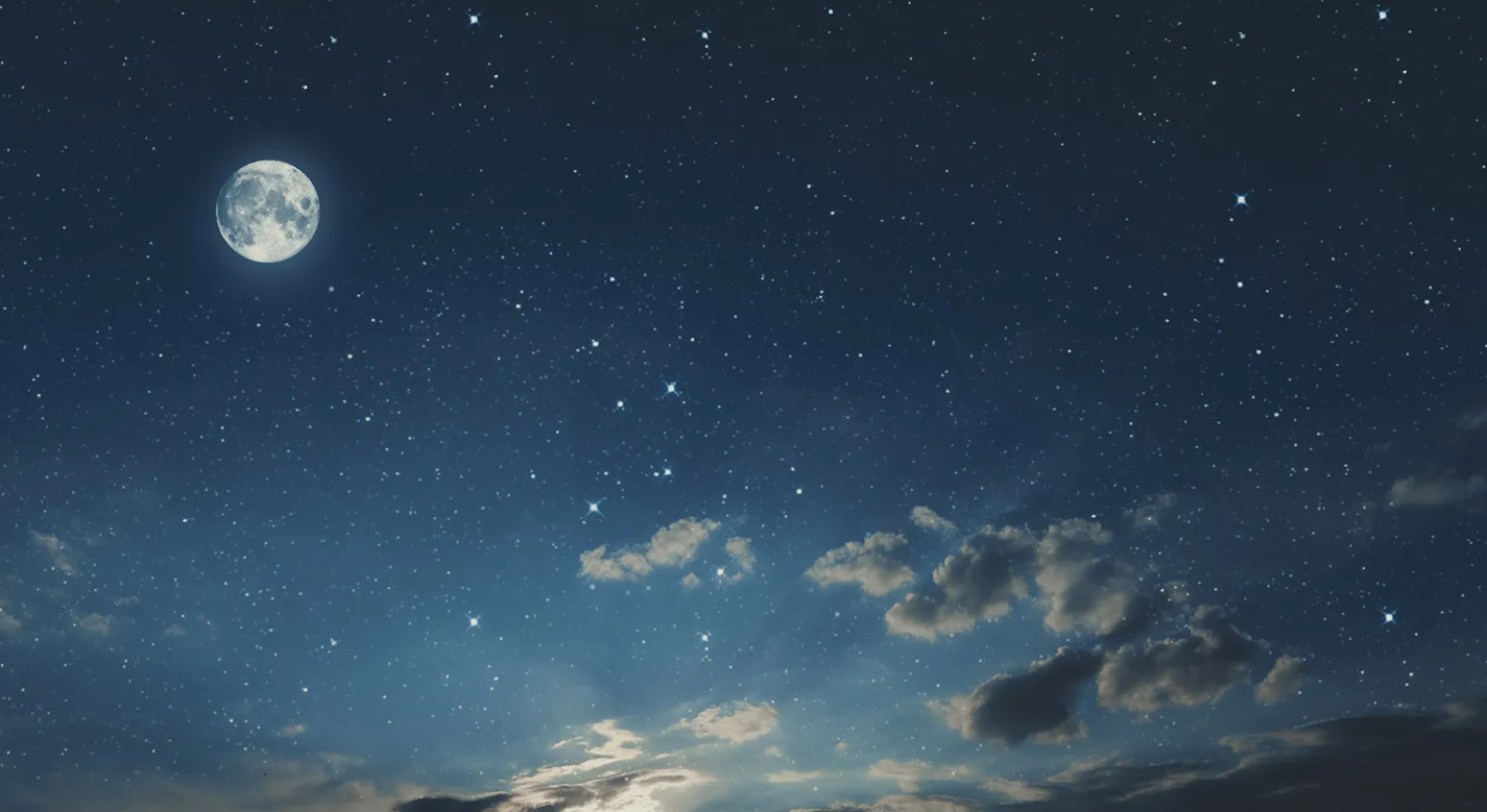 516bfca60dbb242646fd.png