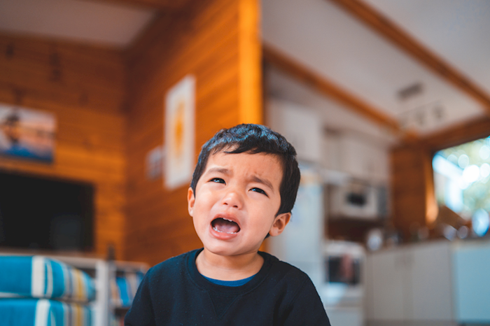 517967d83a3a53f081a2.png