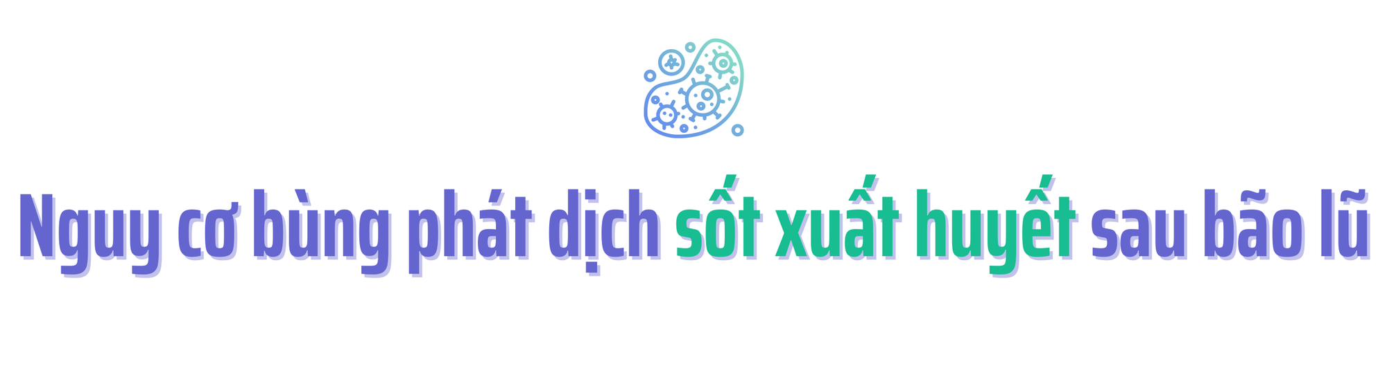 519425fd27aba84257be.png