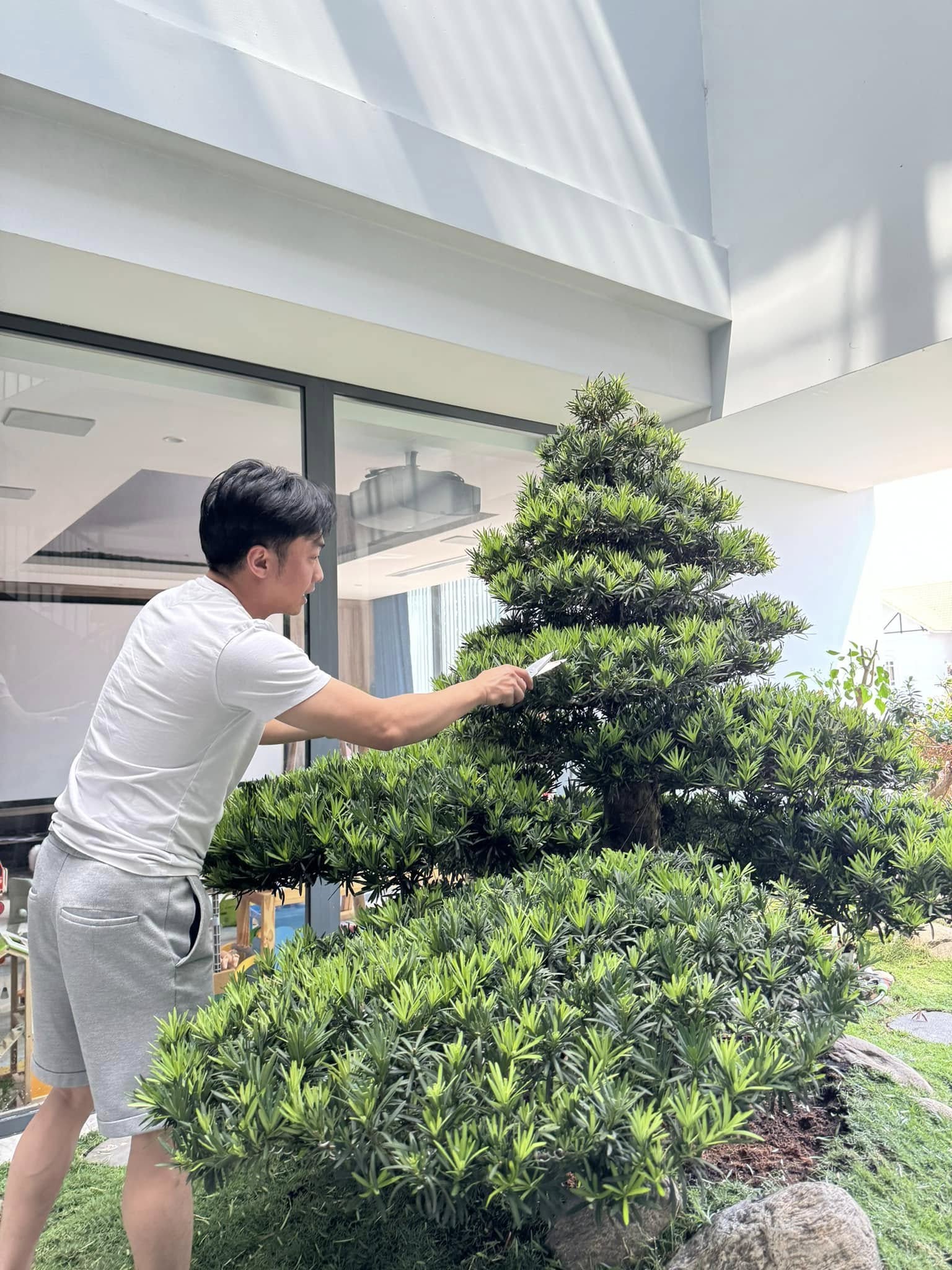 51e8b455842b8d53d171.jpg