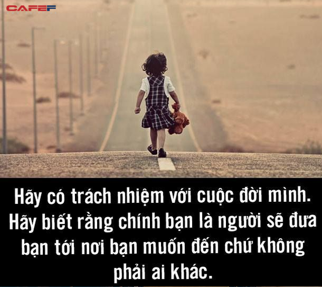52068cd248857df2b955.png