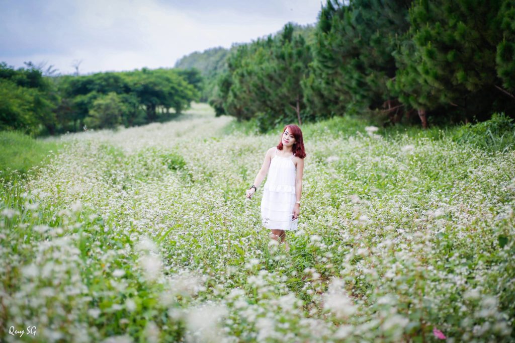 52573d26e197ea5ad570.jpg