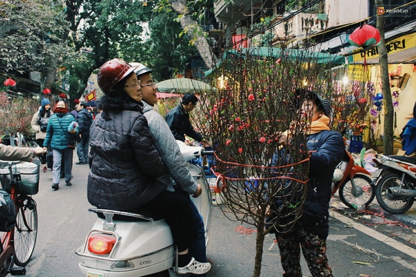 5273336ed211cce891ea.jpg