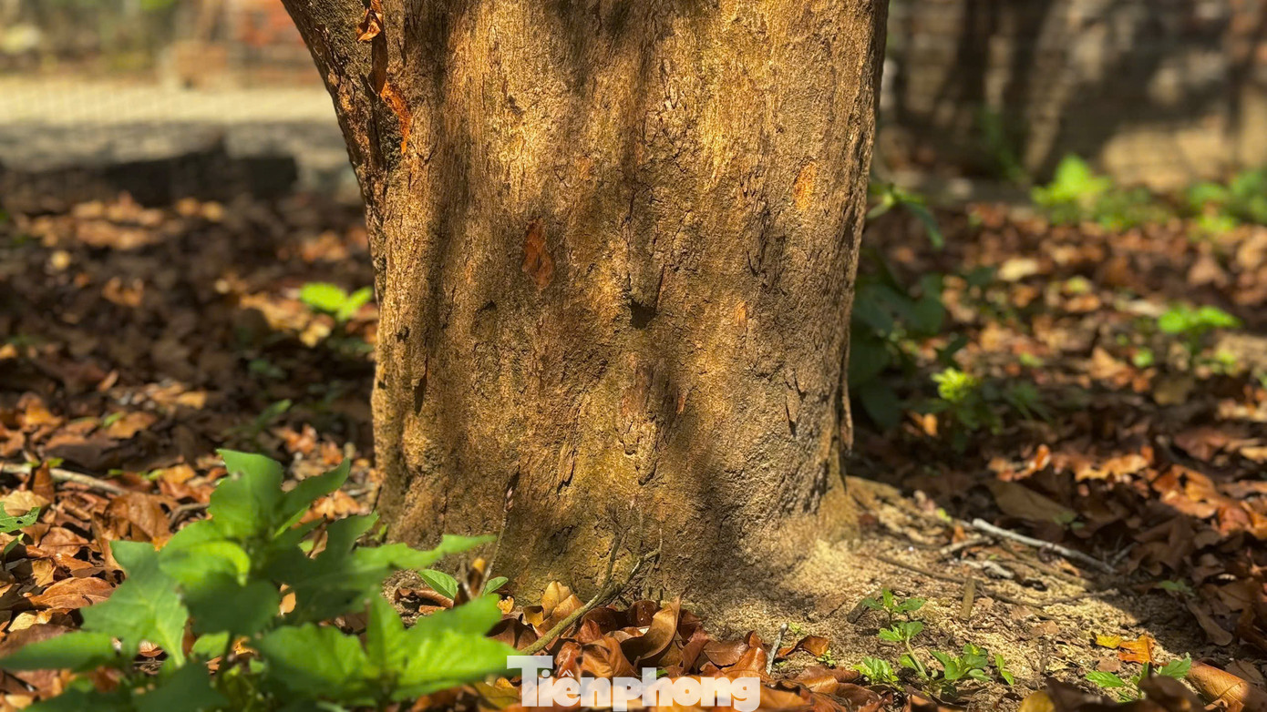 52b6a8c32106a19ab260.jpg