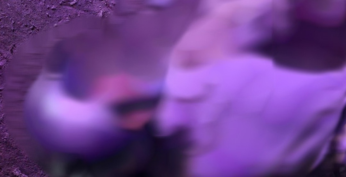 52fde0d44c2f96d6ba9c.jpg