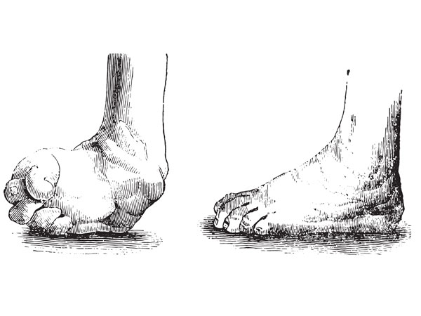5308d65a1d6c91171958.jpg