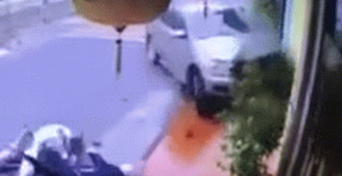 5321c812dfdfa920c499.png