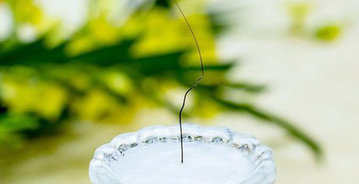 532a2419aa653b944c0f.jpg