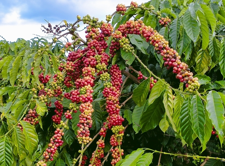 532f2b18b1a22e463e89.jpg