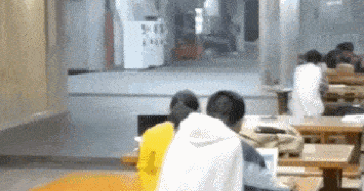 53359426b1954049d321.png