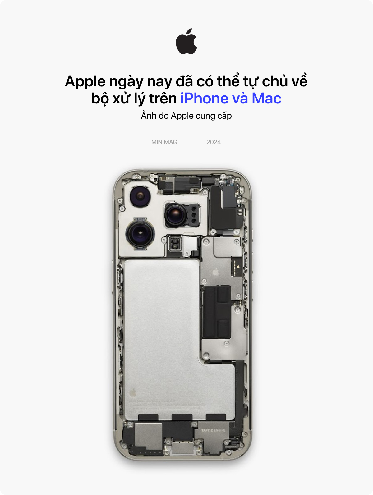 537e08f8d8ba3de4af41.jpg
