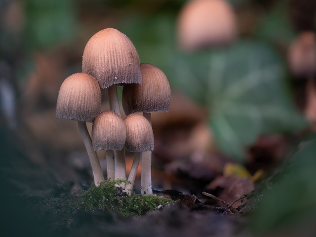 53c666e9c691597de6b3.jpg